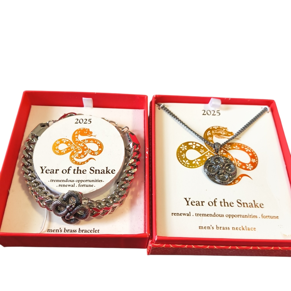 Year of the Snake Silver Bracelet and Necklace Set